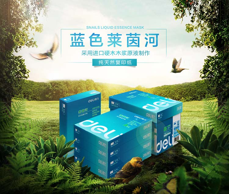 得力（Deli）7406 萊茵河70克A3復印紙 5包/箱