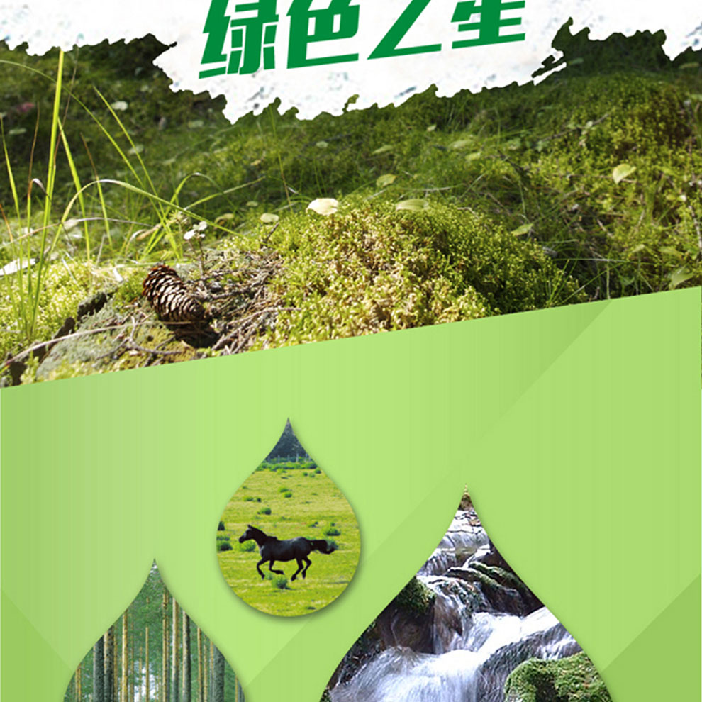 佳印（UPM）A4 80克纯木浆高白复印纸 5包/箱