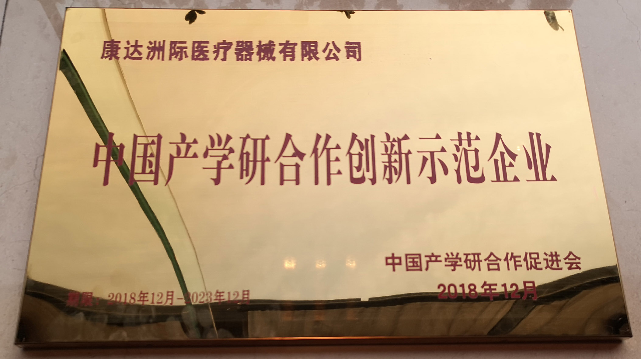 創新科技 筑夢梅山——恭喜康達洲際喜提創新示范企業獎！