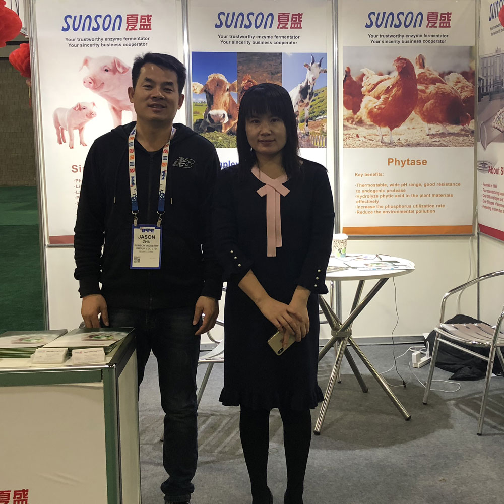 Brief Report of 2019 IPPE Brief Report of 2019 IPPE