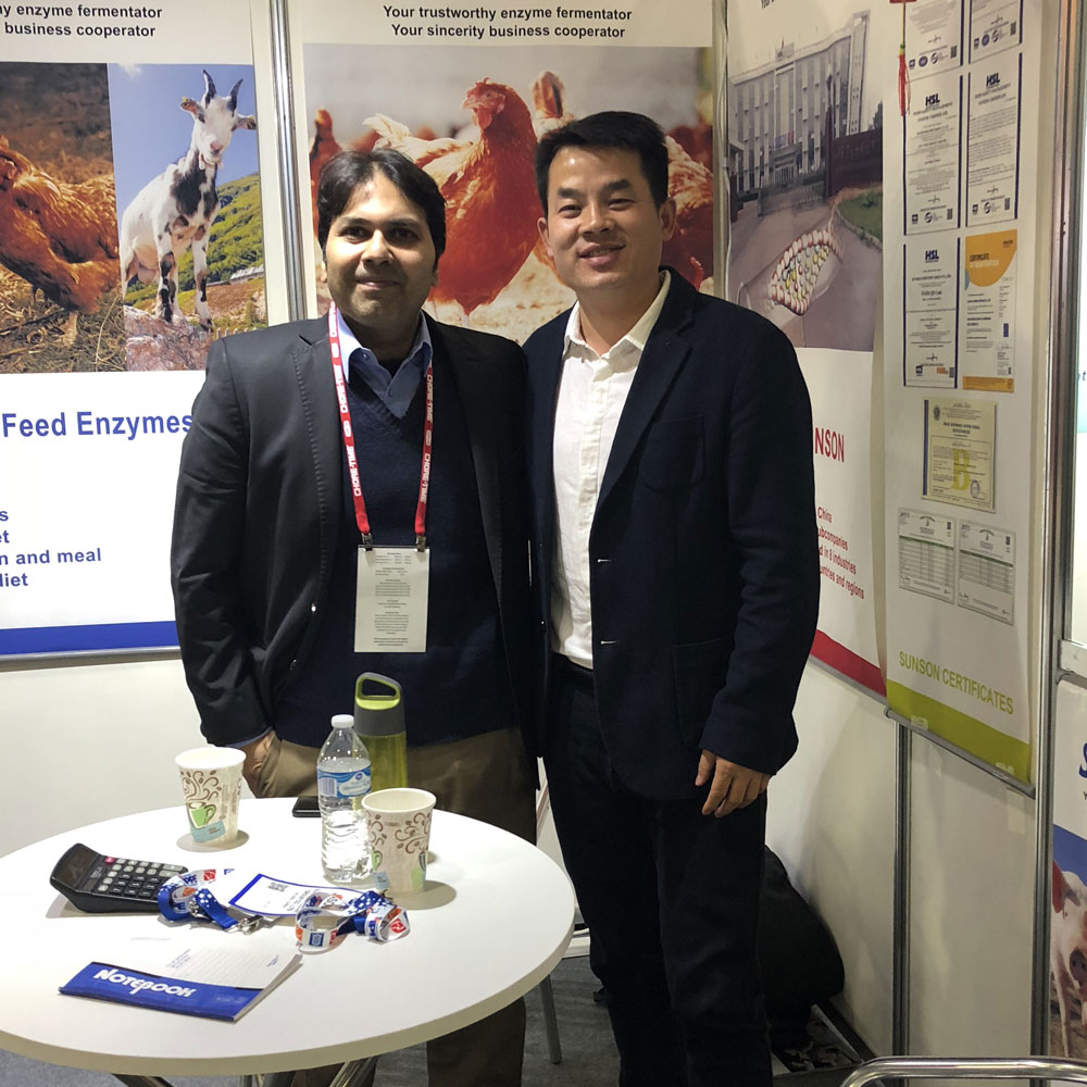 Brief Report of 2019 IPPE