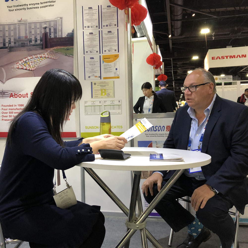 Brief Report of 2019 IPPE