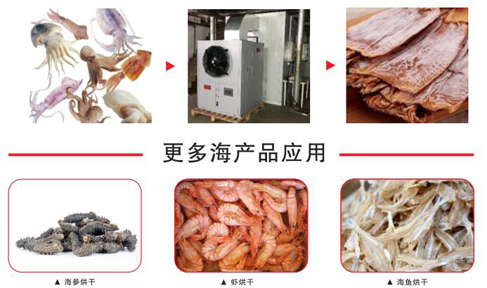 速潽捷鱿鱼烘干机 速潽捷鱿鱼烘干机