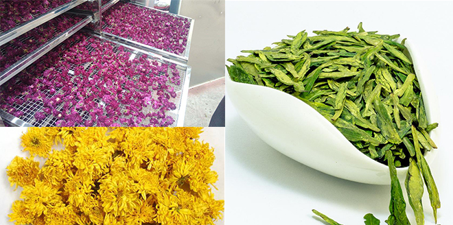 茶叶、花茶干燥 茶叶、花茶干燥