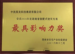 最具影响力奖