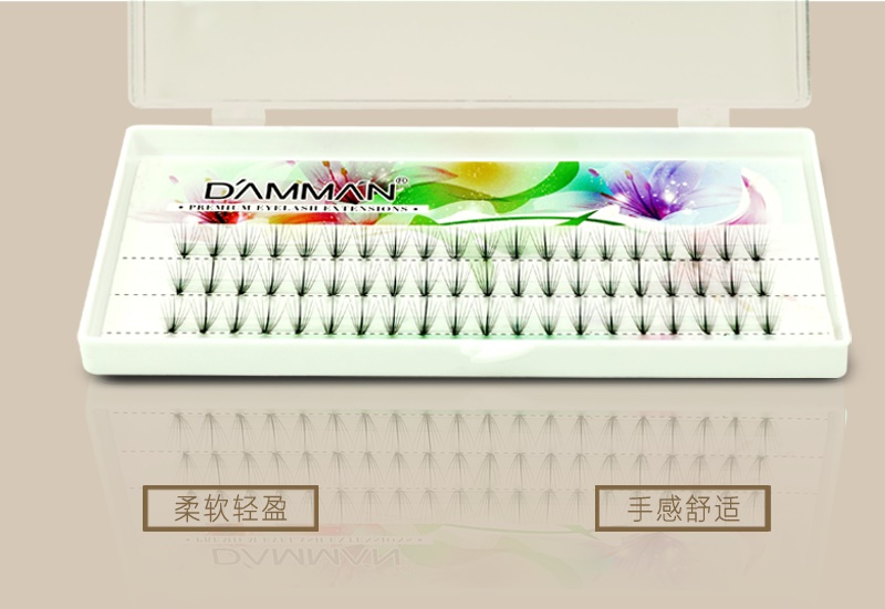 無痕山茶花7根