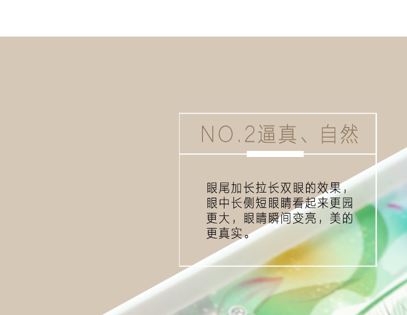 無痕山茶花7根