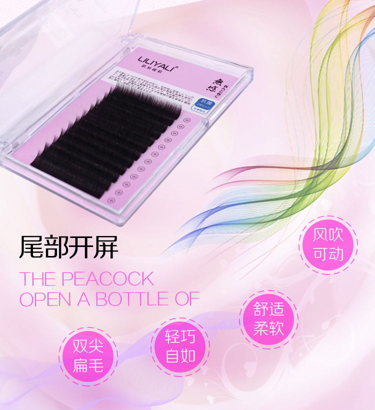 無感雙尖扁毛
