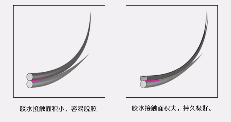 無感雙尖扁毛