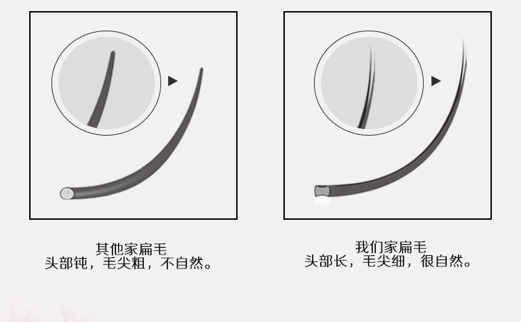無感雙尖扁毛