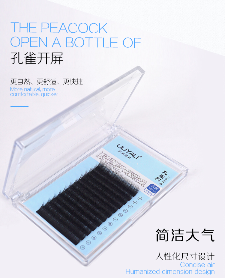 孔雀羽扁毛