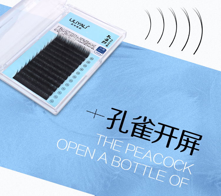 孔雀羽扁毛