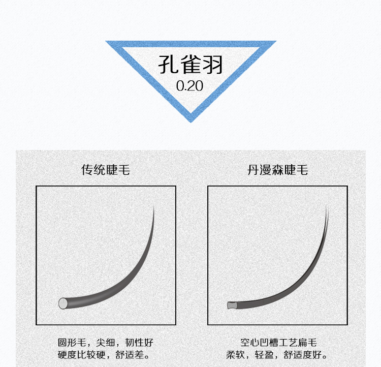 孔雀羽扁毛