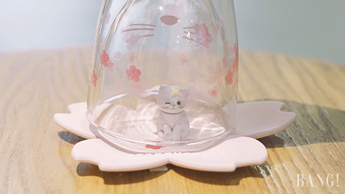 从“猫爪杯”看星巴克的品牌营销手段 从“猫爪杯”看星巴克的品牌营销手段