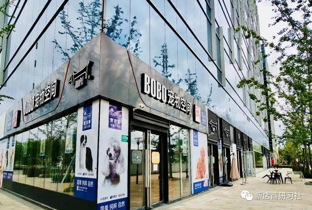 别再嘲笑单身狗了,因为他们已喜提经济支柱称号! 别再嘲笑单身狗了,因为他们已喜提经济支柱称号!