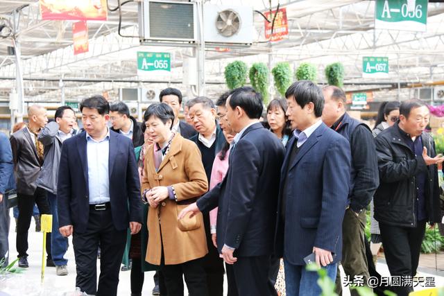2019全国花卉产销形势分析会在郑州召开