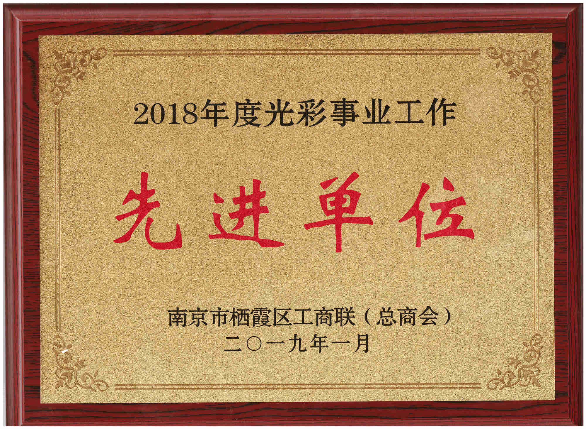 公司荣获“2018年度光彩事业工作先进单位”荣誉称号