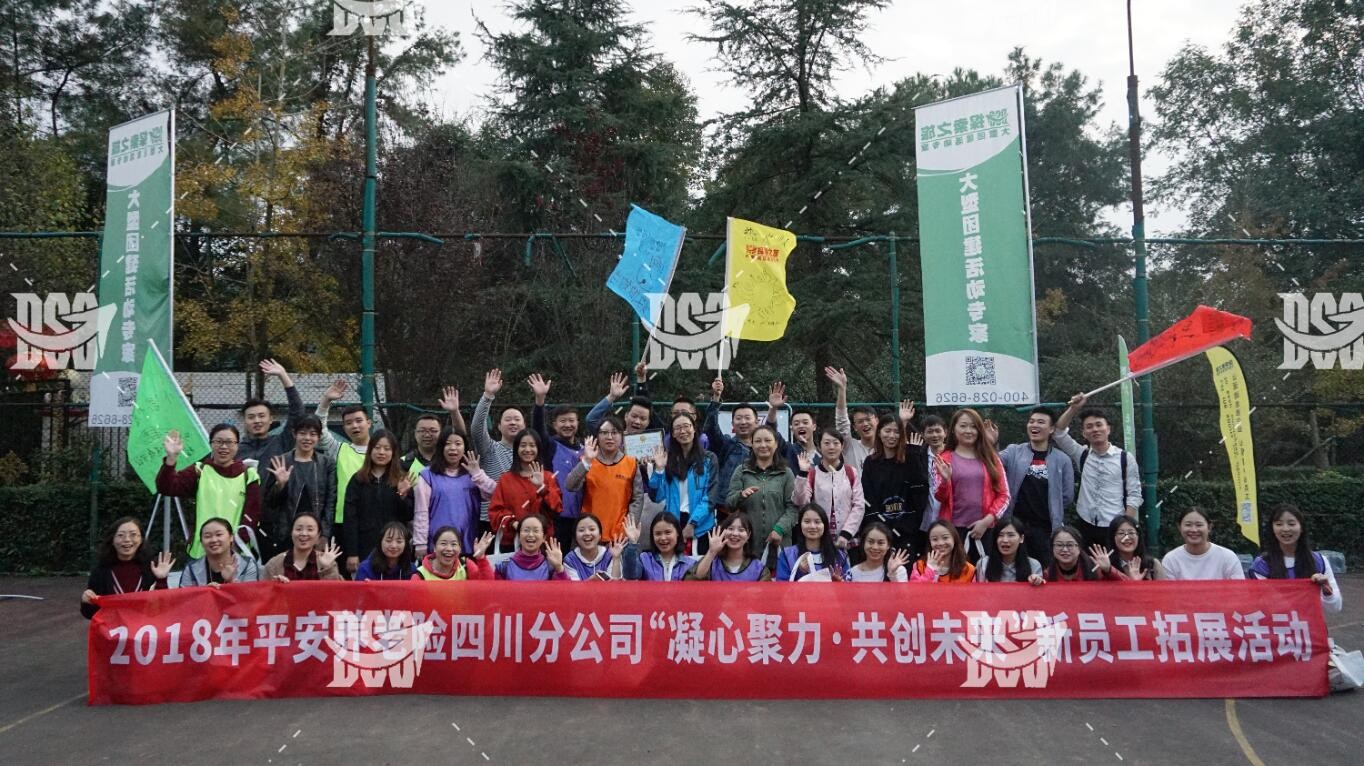 【定向】平安养老险