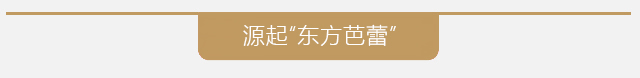 品牌介绍 品牌介绍