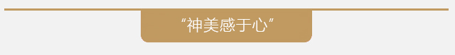 品牌介绍 品牌介绍