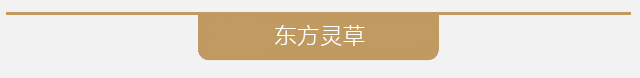 品牌介绍 品牌介绍