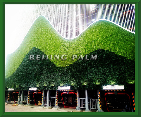 我公司目前完成了北京大兴区政府停车楼的立体植物墙项目