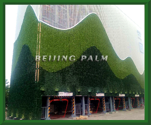 我公司目前完成了北京大兴区政府停车楼的立体植物墙项目