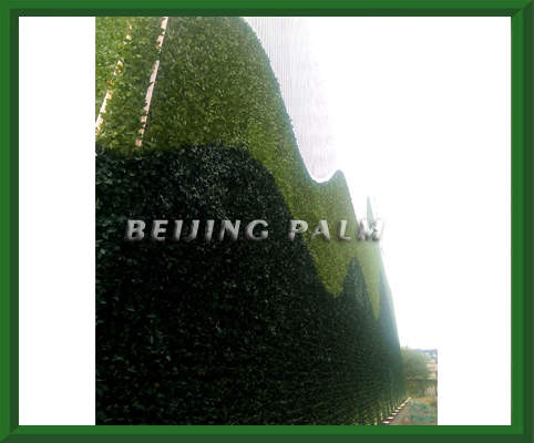 The vertical plant wall project of the Government Parking Building in Beijing Daxing was completed.