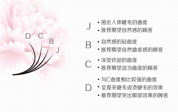 山茶花