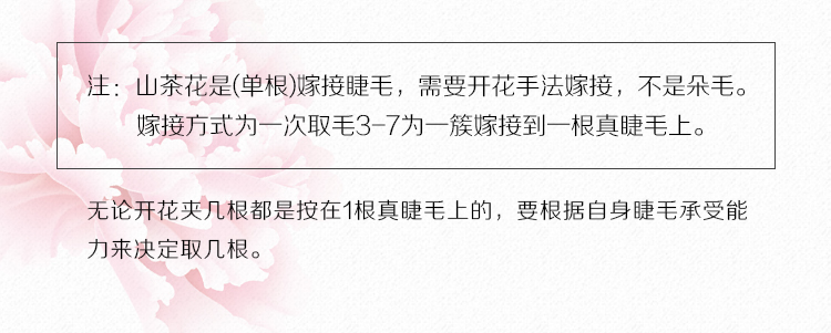山茶花