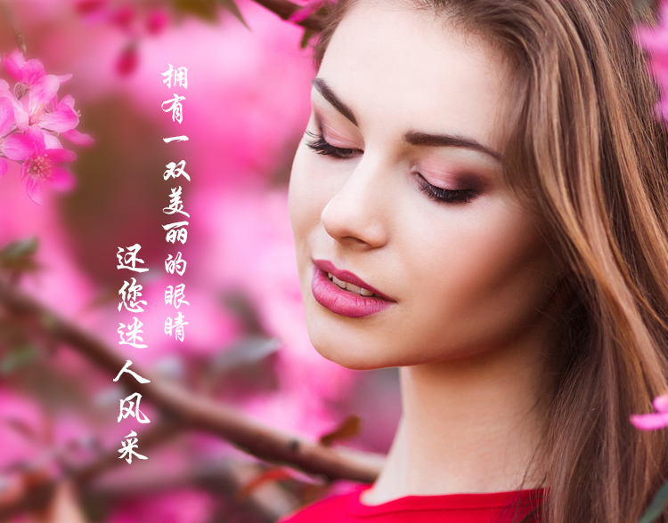 山茶花