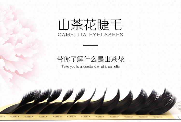 山茶花