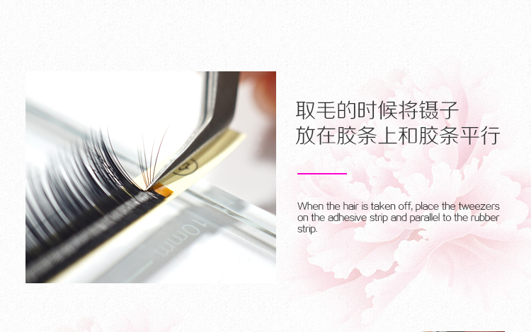 山茶花