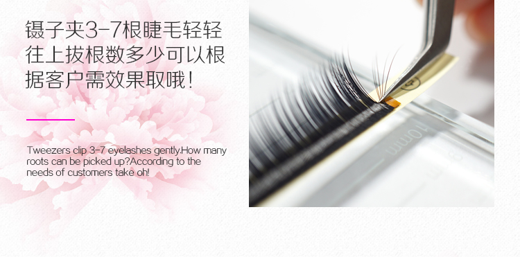 山茶花