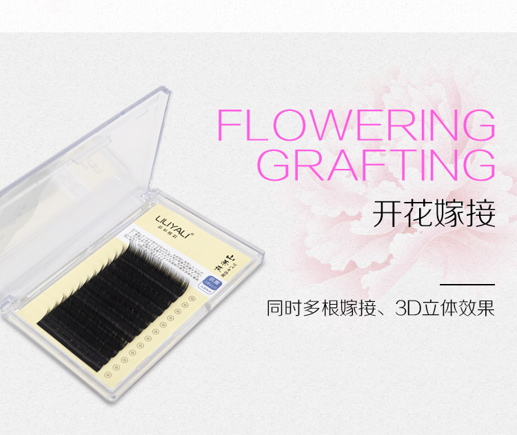 山茶花