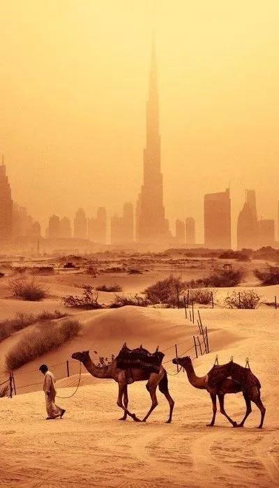 中东电商的沙漠之旅