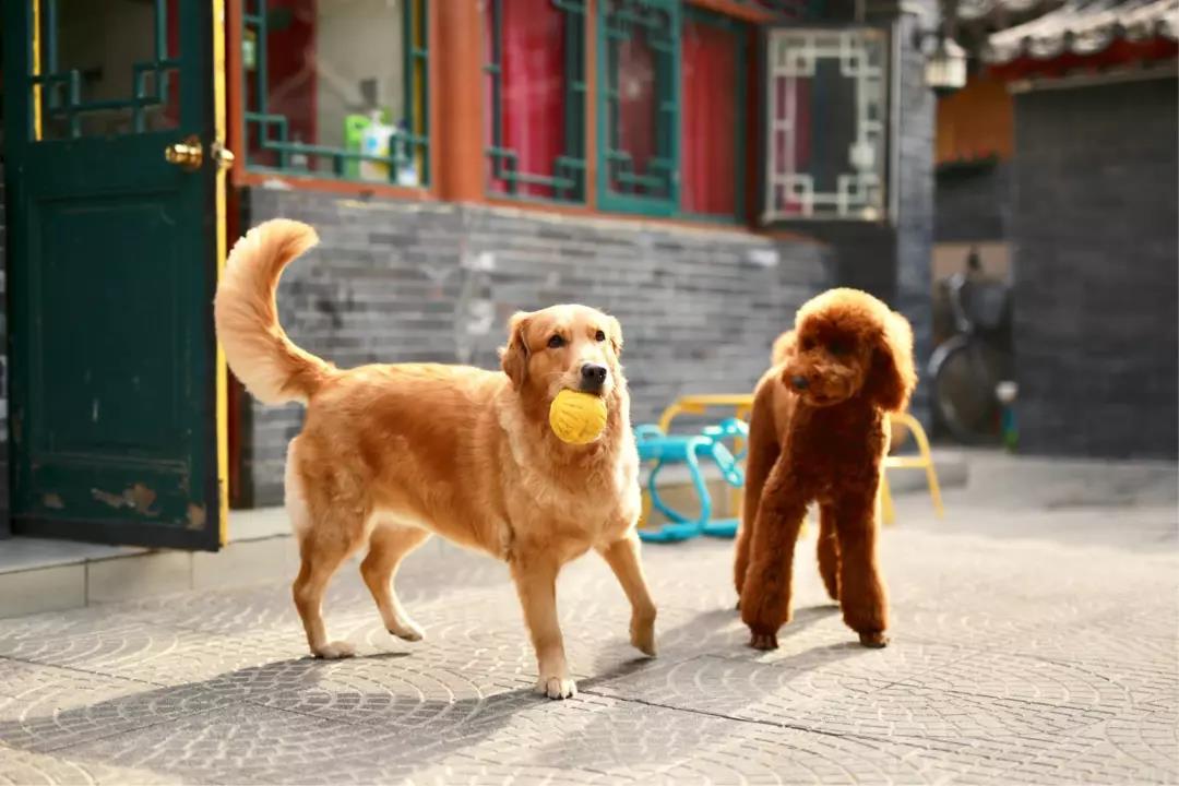 除了酒店體育館，年會(huì)場(chǎng)地還能選什么？丨年會(huì)支招