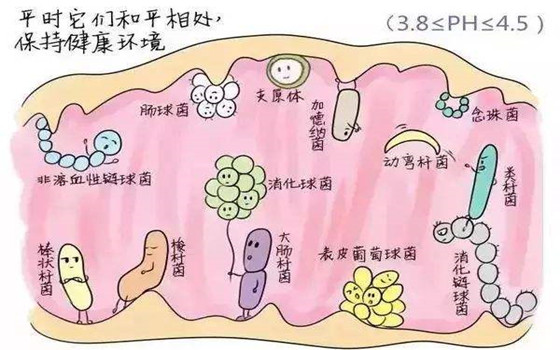 婦科洗液和護(hù)理液的區(qū)別，你知道嗎？