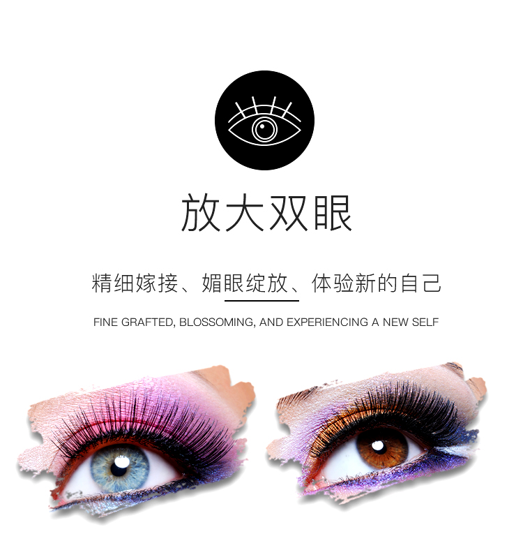 黑羽哑光扁毛