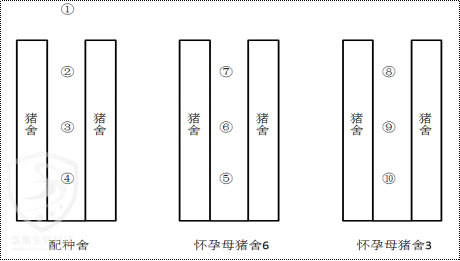 生态养殖场（猪舍）流感病毒监测