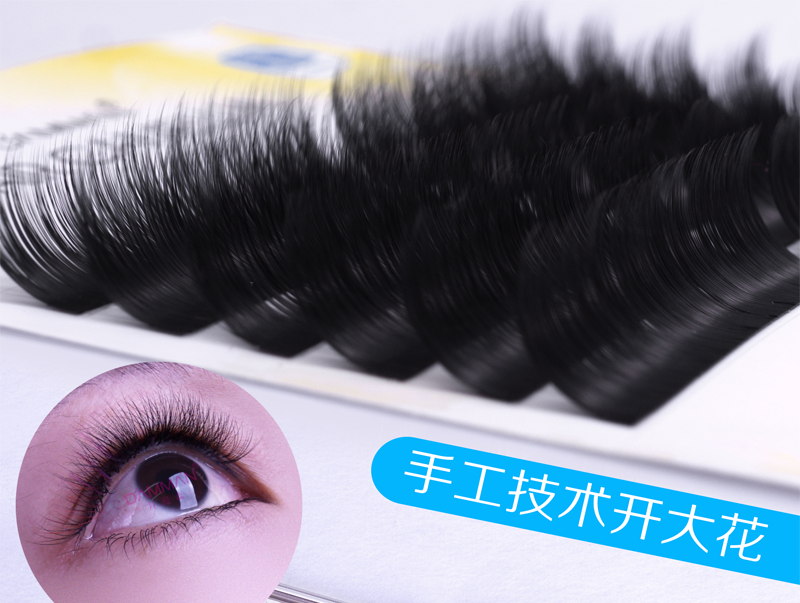新款0.05细软蒲公英