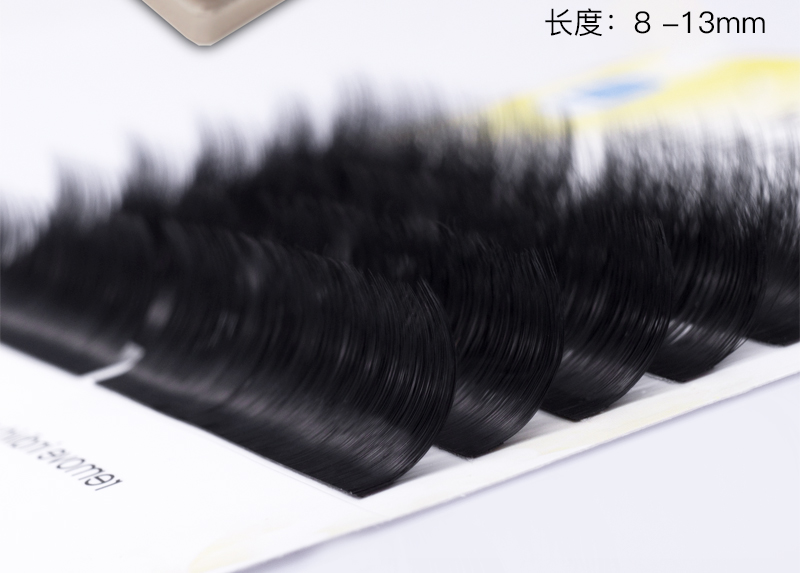 新款0.05细软蒲公英