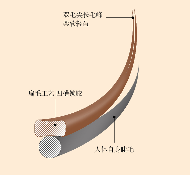 風(fēng)吹動(dòng)焦糖色