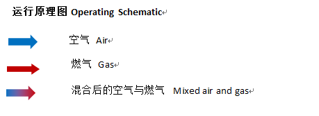 Cavallo卡瓦诺分体式超低氮燃烧器