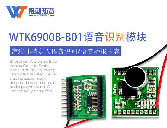 WTK6900B-28SS/WTK6900C-48L语音识别芯片