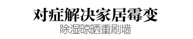 回南天，各种东西发霉了，该怎么办？如何除霉除霉味？ 