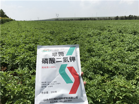 土豆追肥用什么肥料之客户见证