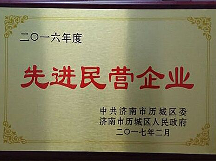 先進(jìn)民營(yíng)企業(yè)