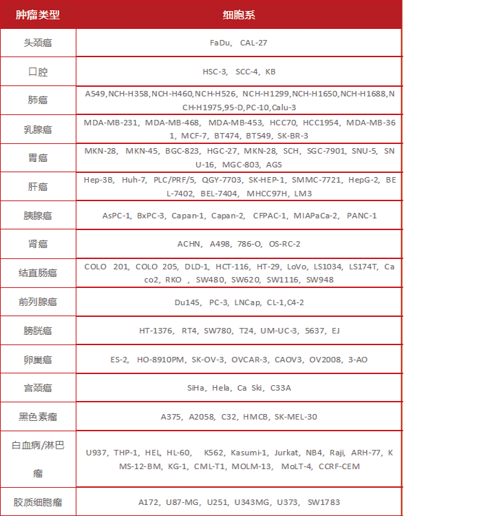异种,同种皮下移植肿瘤模型