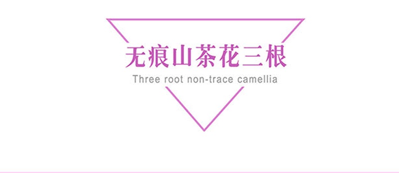 无痕山茶花3根